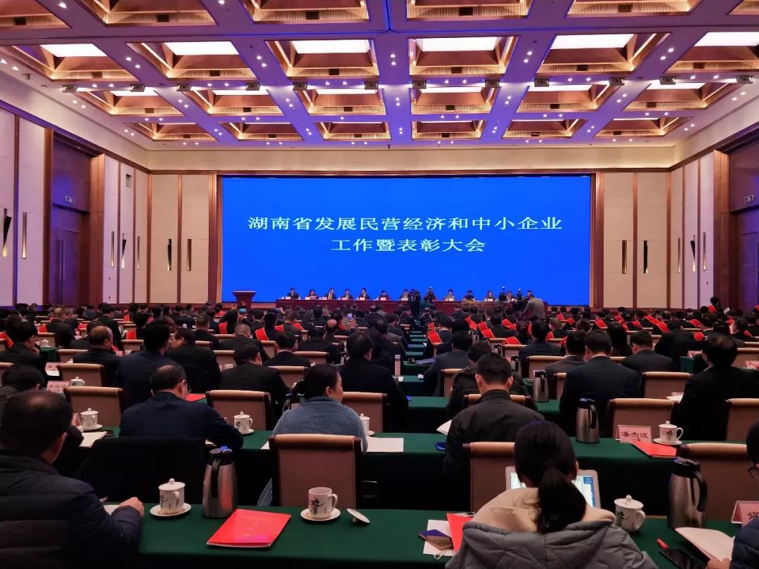 董事長(zhǎng)王五星出席：湖南省發(fā)展民營(yíng)經(jīng)濟(jì)和中小企業(yè)工作暨表彰大會(huì)